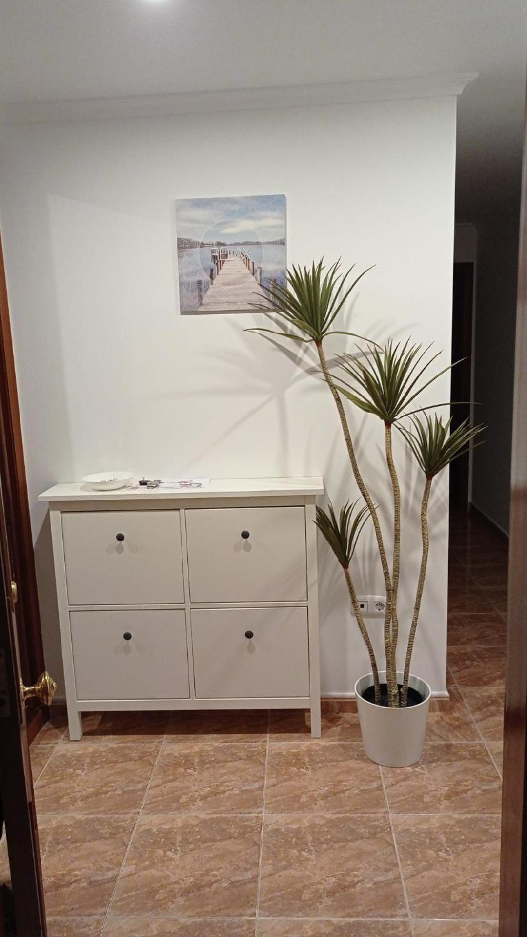 Apartamento Viveiro Appartement Buitenkant foto